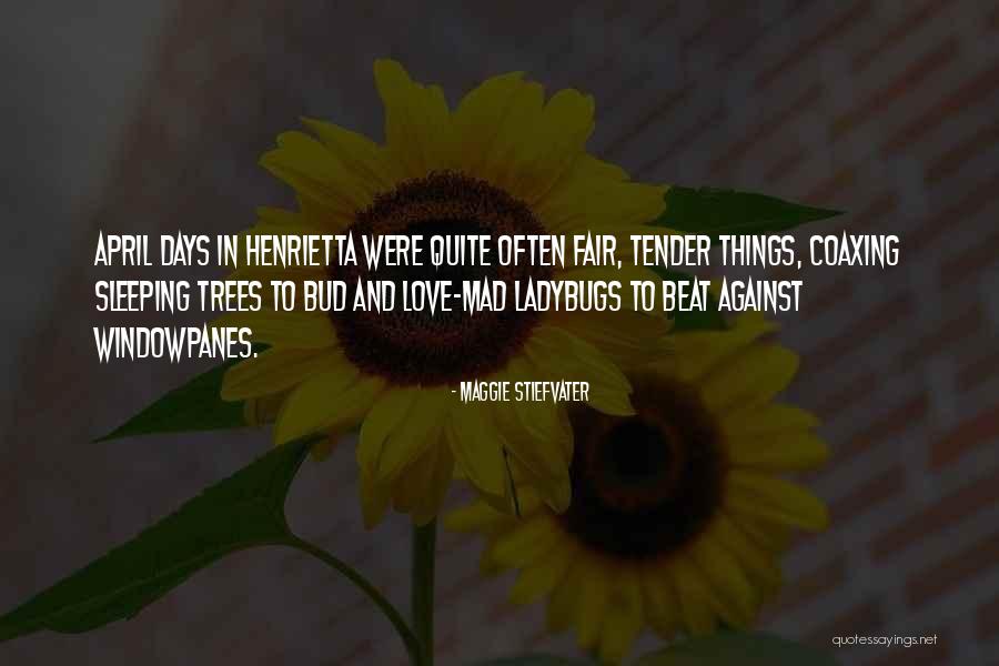 Windowpanes Quotes By Maggie Stiefvater Windowpanes Quotes By Maggie Stiefvater