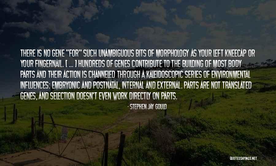 Windows 7 Copy Path Without Quotes By Stephen Jay Gould Windows 7 Copy Path Without Quotes By Stephen Jay Gould