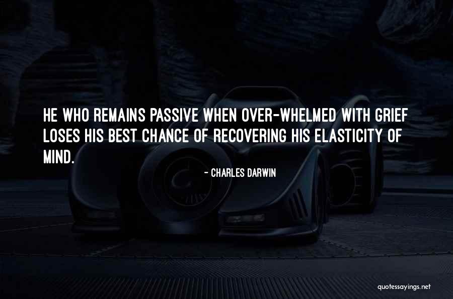 Windows Batch Remove Quotes By Charles Darwin Windows Batch Remove Quotes By Charles Darwin