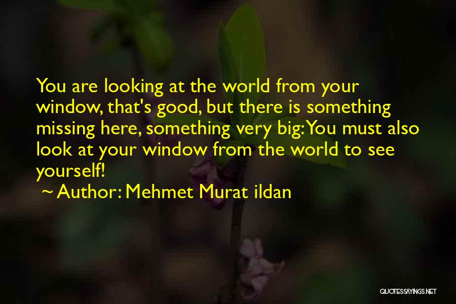 Windows To The World Quotes By Mehmet Murat Ildan