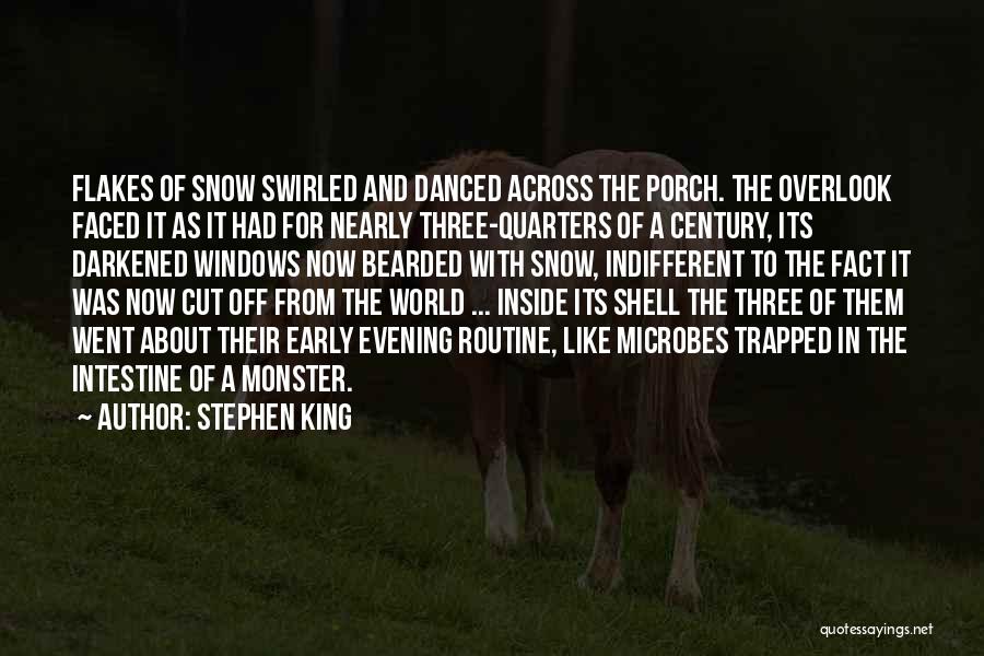 Windows To The World Quotes By Stephen King