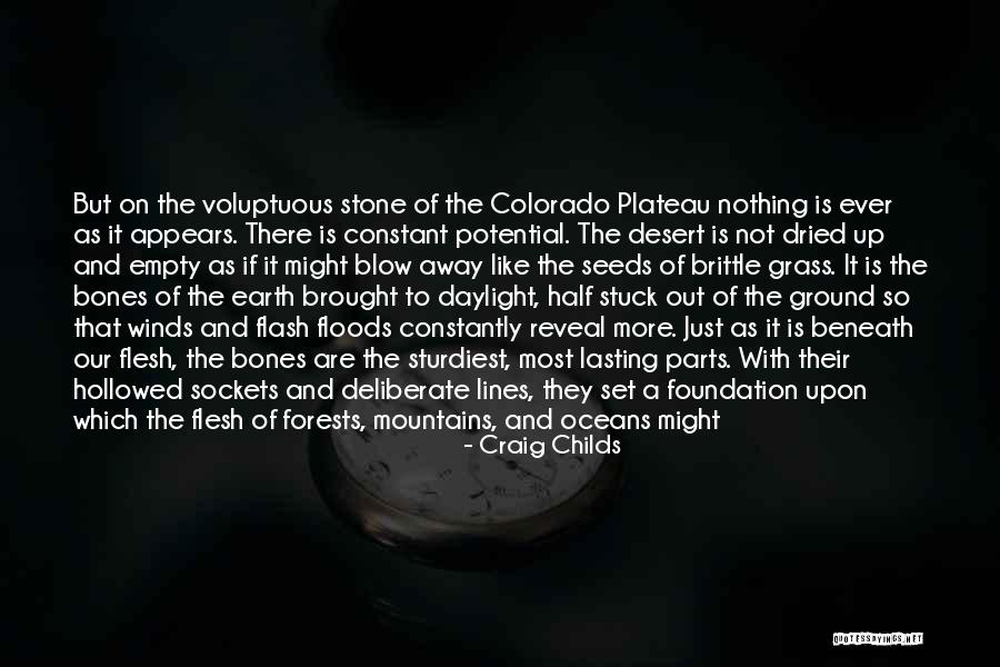 Winds Will Blow Quotes By Craig Childs Winds Will Blow Quotes By Craig Childs