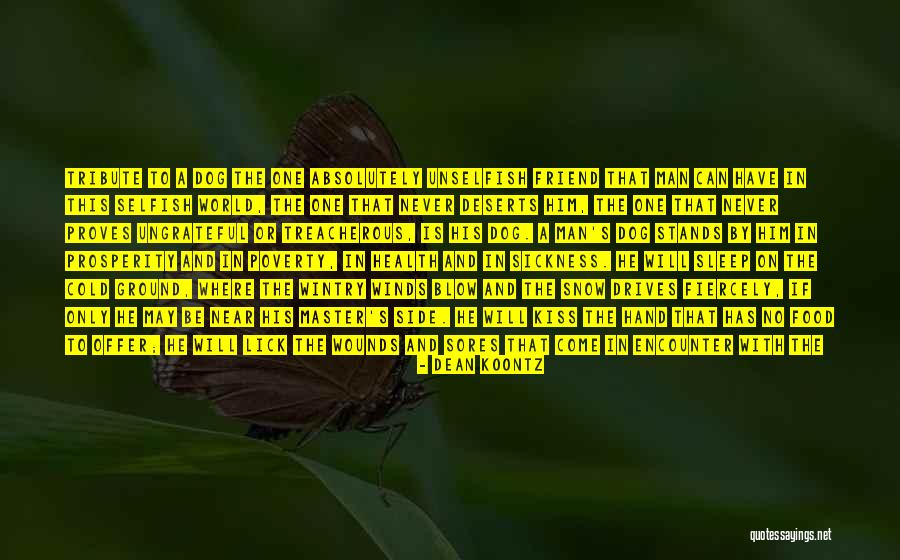 Winds Will Blow Quotes By Dean Koontz Winds Will Blow Quotes By Dean Koontz