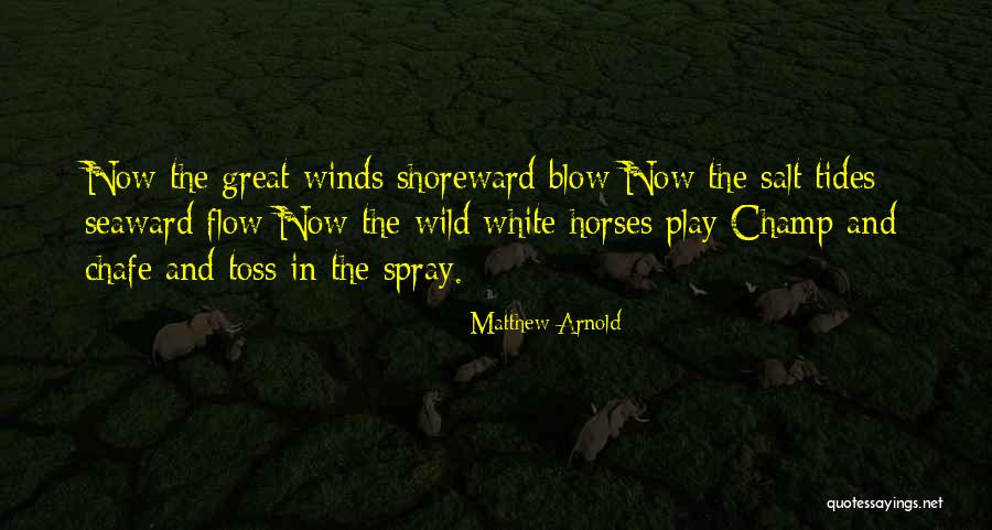 Winds Will Blow Quotes By Matthew Arnold Winds Will Blow Quotes By Matthew Arnold