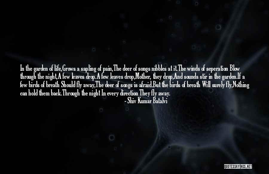 Winds Will Blow Quotes By Shiv Kumar Batalvi Winds Will Blow Quotes By Shiv Kumar Batalvi