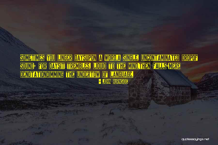 Windstruck Korean Movie Quotes By John Burnside Windstruck Korean Movie Quotes By John Burnside