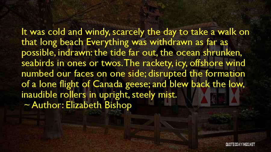 Windy Beach Quotes By Elizabeth Bishop