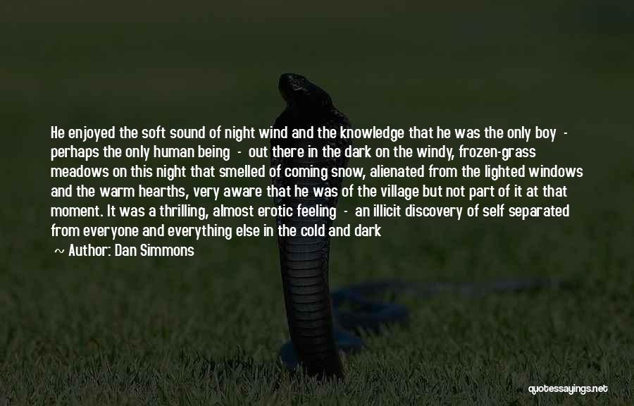 Windy Night Quotes By Dan Simmons