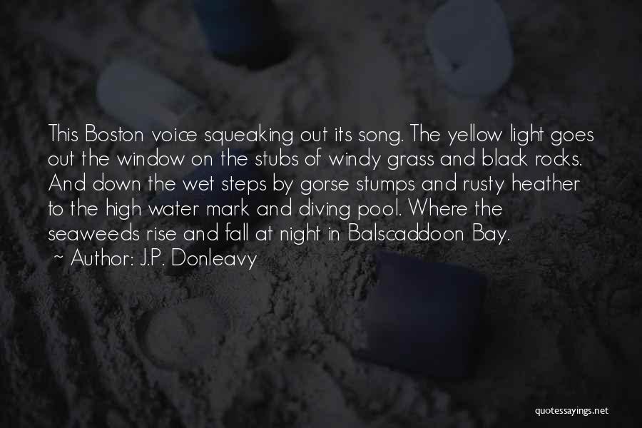 Windy Night Quotes By J.P. Donleavy