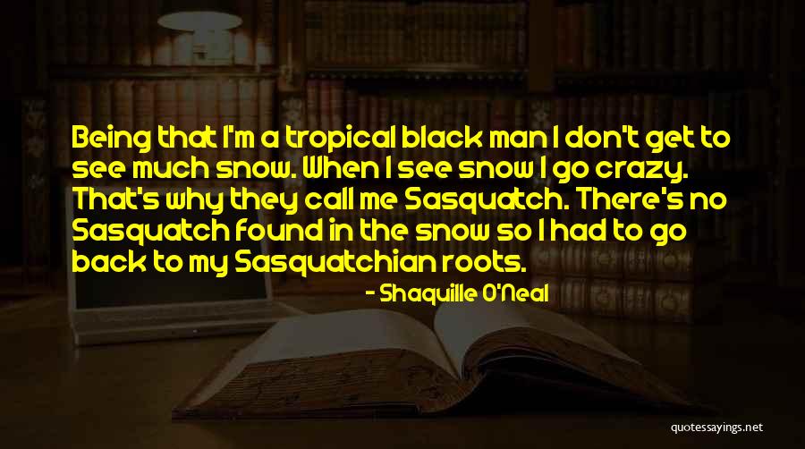 Windy Wyoming Quotes By Shaquille O'Neal Windy Wyoming Quotes By Shaquille O'Neal