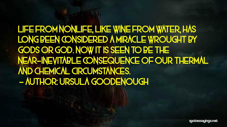 Wine And God Quotes By Ursula Goodenough