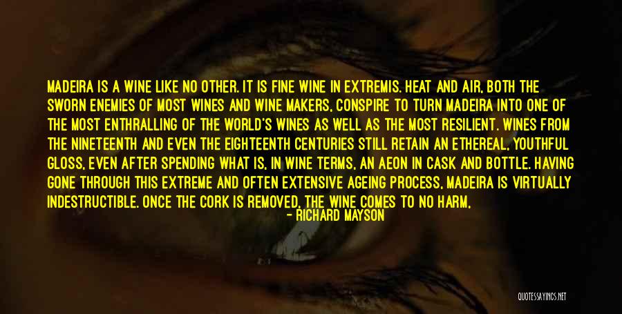 Wine Cork Quotes By Richard Mayson