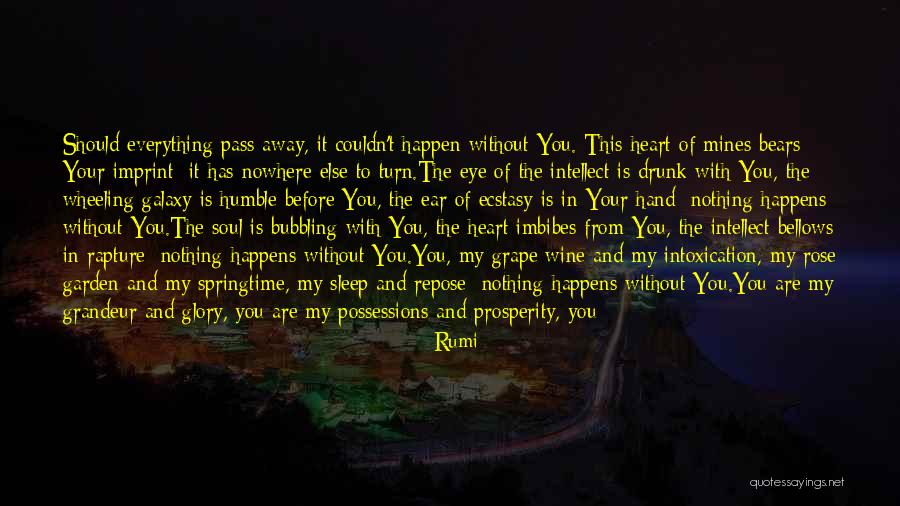 Wine Drunk Quotes By Rumi Wine Drunk Quotes By Rumi