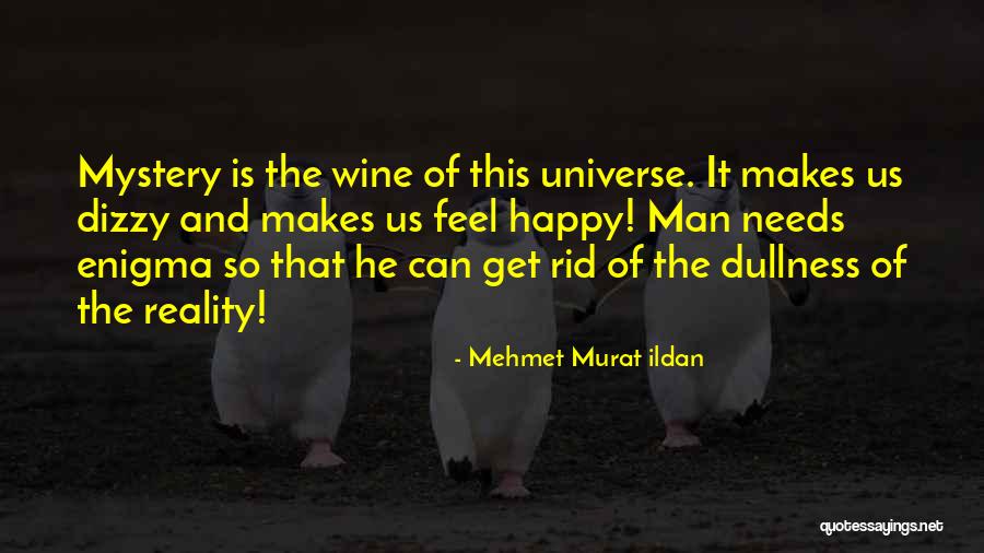 Wine Makes You Happy Quotes By Mehmet Murat Ildan