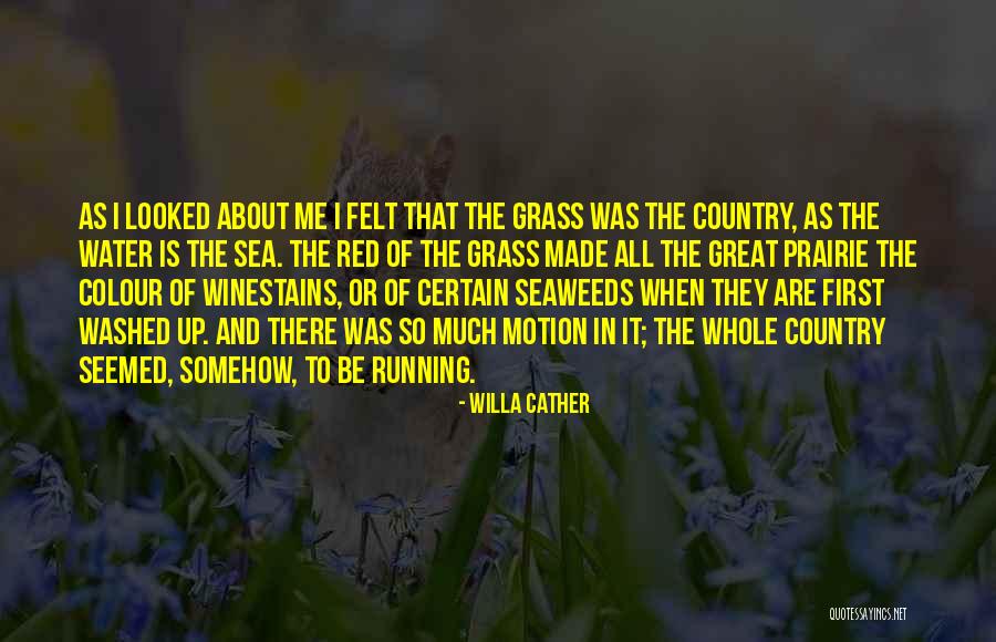 Winestains Quotes By Willa Cather Winestains Quotes By Willa Cather