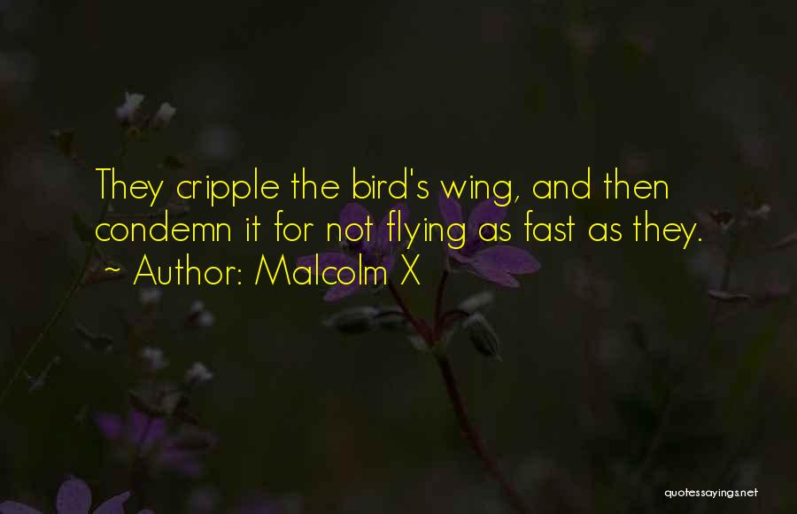 Wing Quotes By Malcolm X