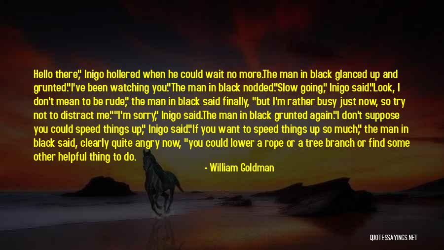 Wingback Dining Quotes By William Goldman Wingback Dining Quotes By William Goldman