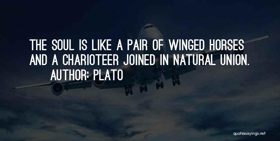 Winged Horse Quotes By Plato