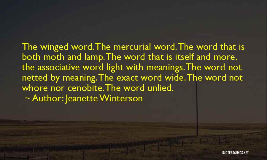 Winged Quotes By Jeanette Winterson