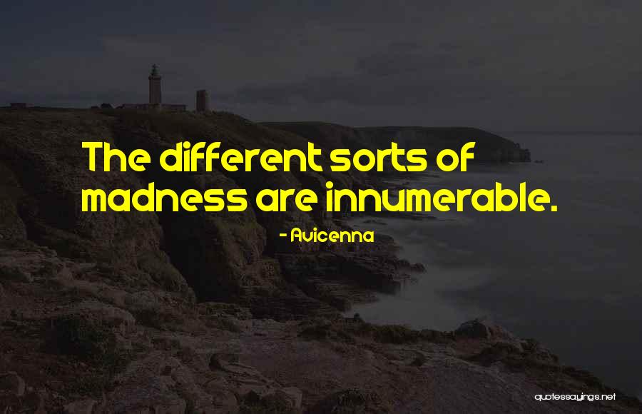Winglets On Airplanes Quotes By Avicenna Winglets On Airplanes Quotes By Avicenna
