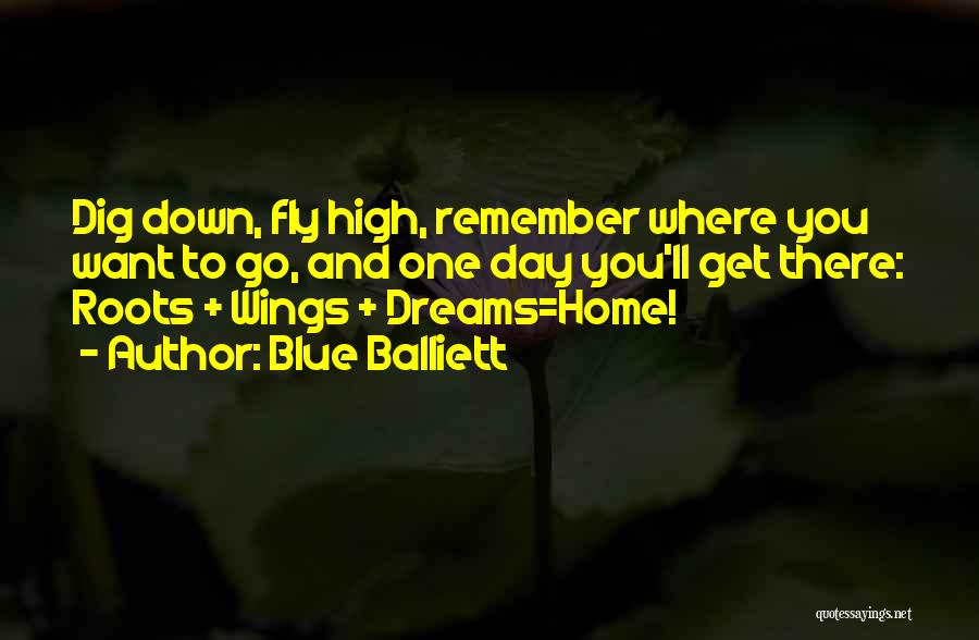 Wings And Dreams Quotes By Blue Balliett