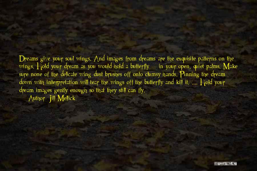 Wings And Dreams Quotes By Jill Mellick