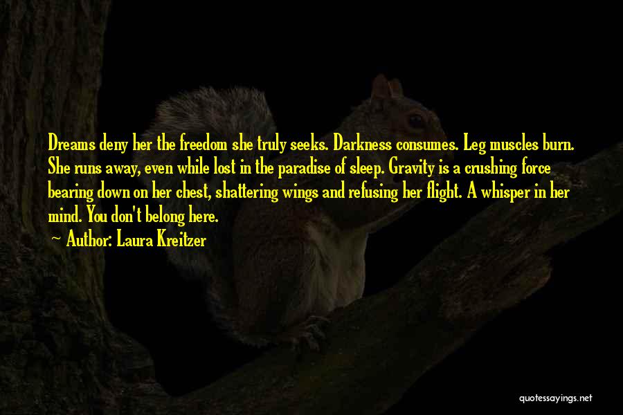 Wings And Dreams Quotes By Laura Kreitzer