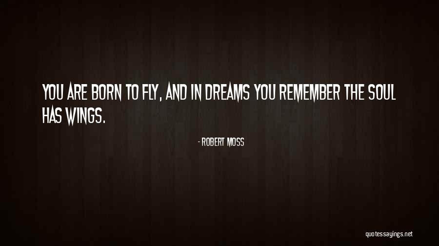 Wings And Dreams Quotes By Robert Moss