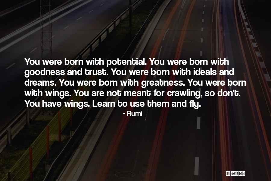 Wings And Dreams Quotes By Rumi