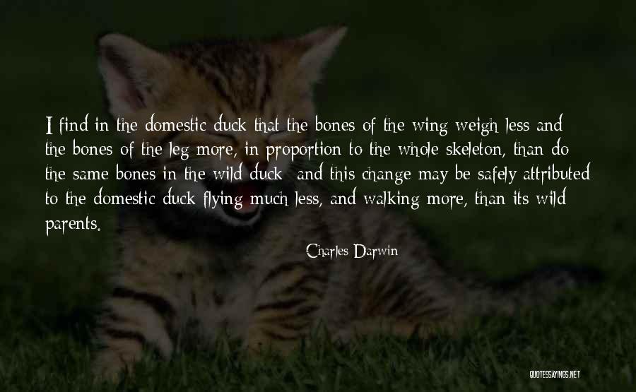 Wings And Flying Quotes By Charles Darwin Wings And Flying Quotes By Charles Darwin