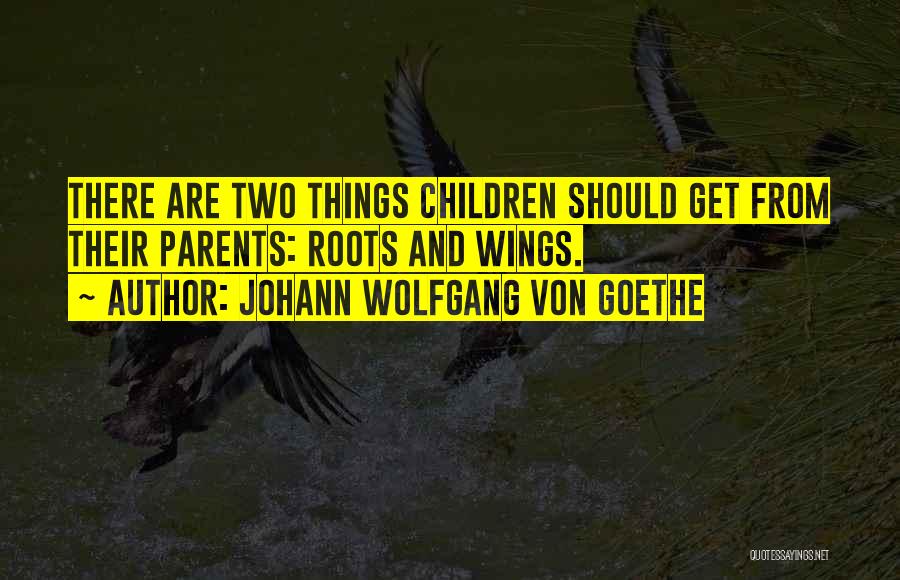 Wings And Roots Quotes By Johann Wolfgang Von Goethe