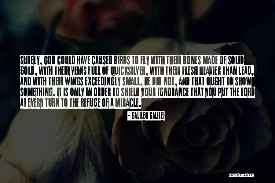 Wings Are Made To Fly Quotes By Galileo Galilei Wings Are Made To Fly Quotes By Galileo Galilei