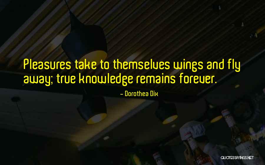 Wings Of Knowledge Quotes By Dorothea Dix