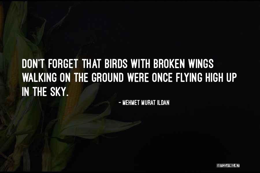 Wings Of Wisdom Quotes By Mehmet Murat Ildan Wings Of Wisdom Quotes By Mehmet Murat Ildan