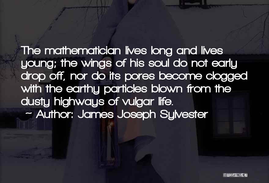 Wings Of Your Soul Quotes By James Joseph Sylvester