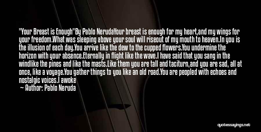 Wings Of Your Soul Quotes By Pablo Neruda