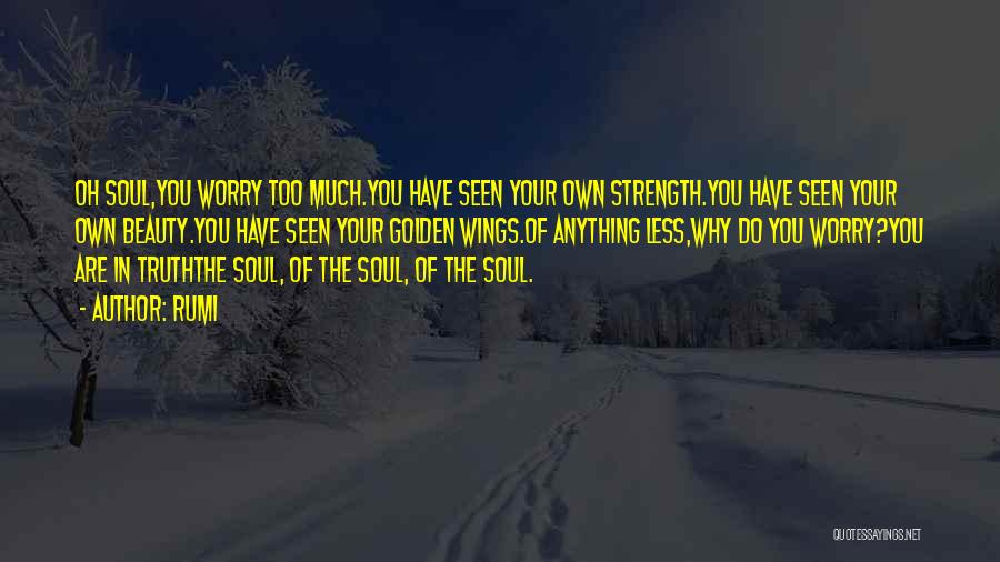 Wings Of Your Soul Quotes By Rumi