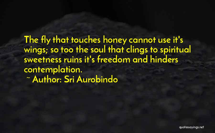 Wings Of Your Soul Quotes By Sri Aurobindo