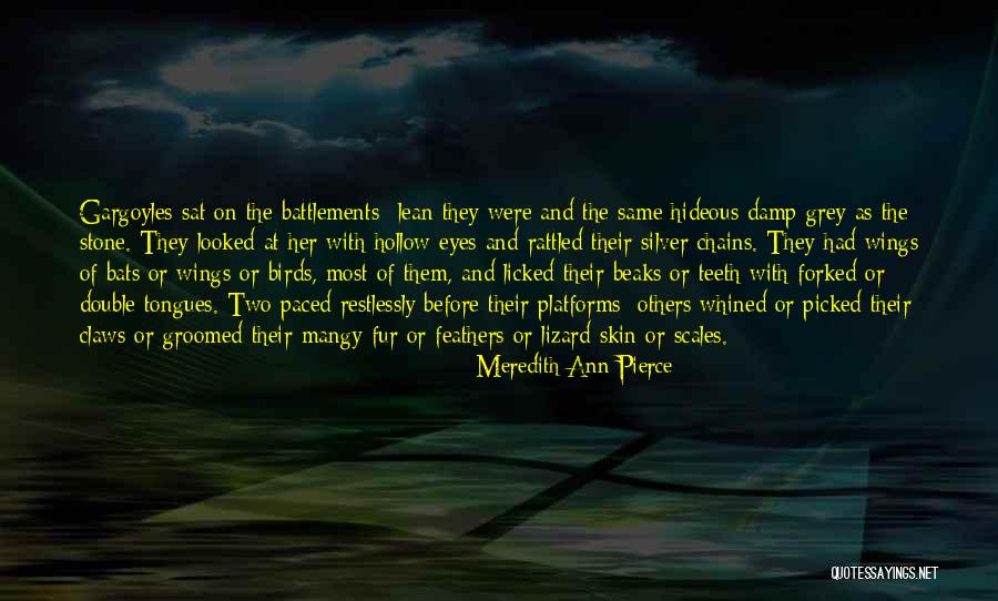 Wings Poem Quotes By Meredith Ann Pierce Wings Poem Quotes By Meredith Ann Pierce
