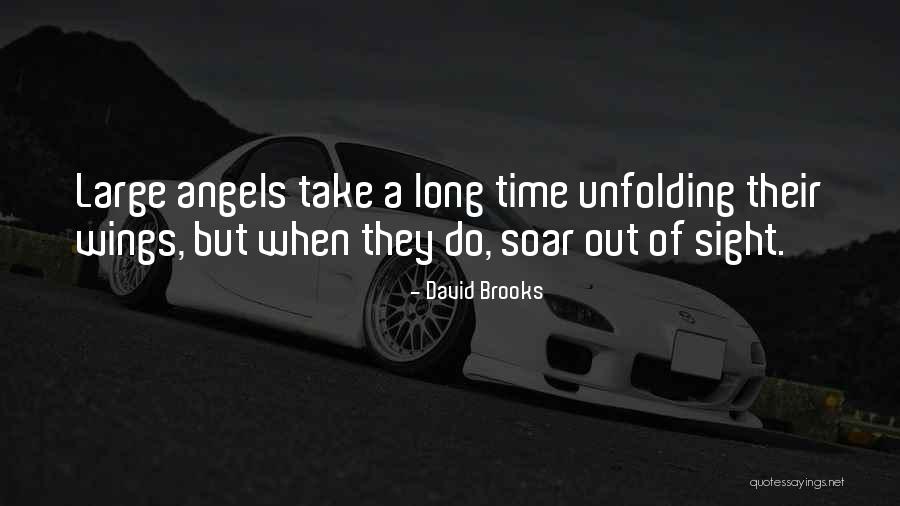 Wings Soar Quotes By David Brooks Wings Soar Quotes By David Brooks
