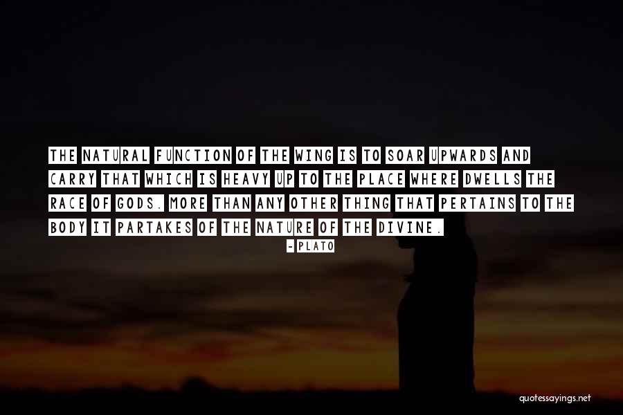 Wings Soar Quotes By Plato Wings Soar Quotes By Plato
