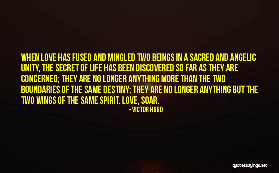 Wings Soar Quotes By Victor Hugo Wings Soar Quotes By Victor Hugo