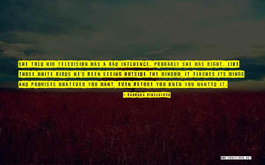 Wings The Tv Quotes By Barbara Kingsolver Wings The Tv Quotes By Barbara Kingsolver
