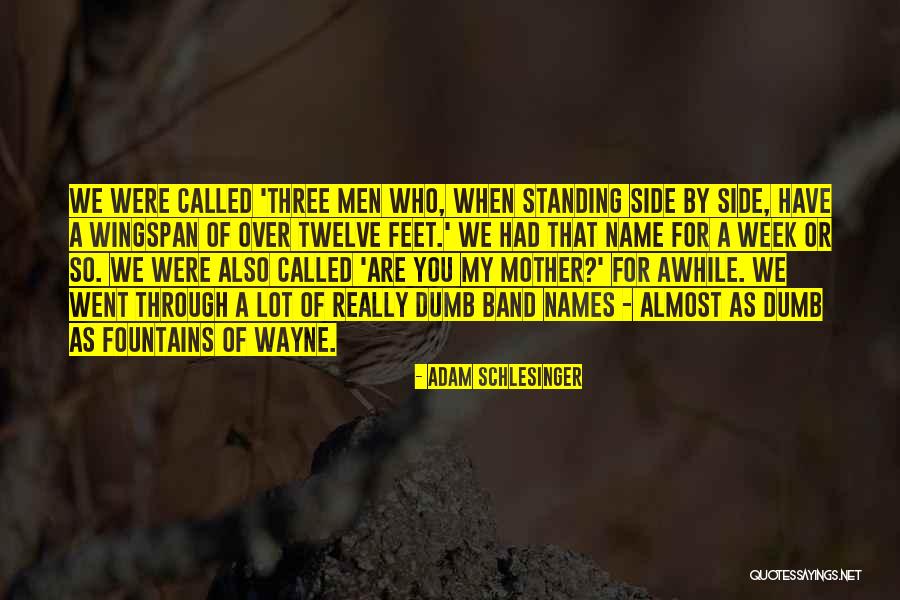 Wingspan Quotes By Adam Schlesinger Wingspan Quotes By Adam Schlesinger