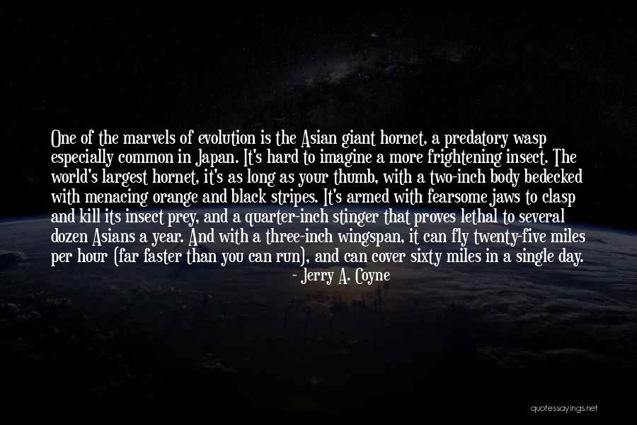 Wingspan Quotes By Jerry A. Coyne Wingspan Quotes By Jerry A. Coyne