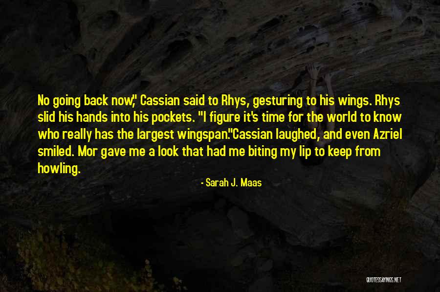 Wingspan Quotes By Sarah J. Maas Wingspan Quotes By Sarah J. Maas