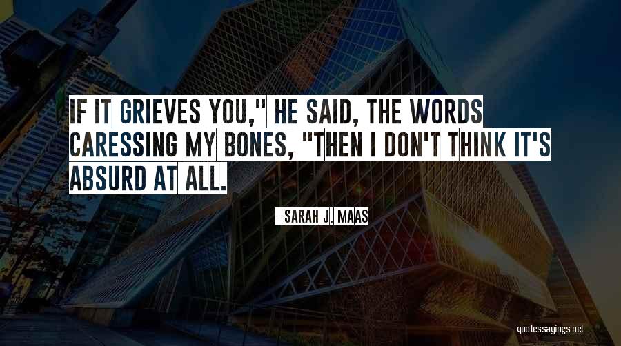 Wingster Wheels Quotes By Sarah J. Maas Wingster Wheels Quotes By Sarah J. Maas