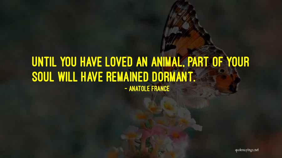 Wingtip Vortices Quotes By Anatole France Wingtip Vortices Quotes By Anatole France