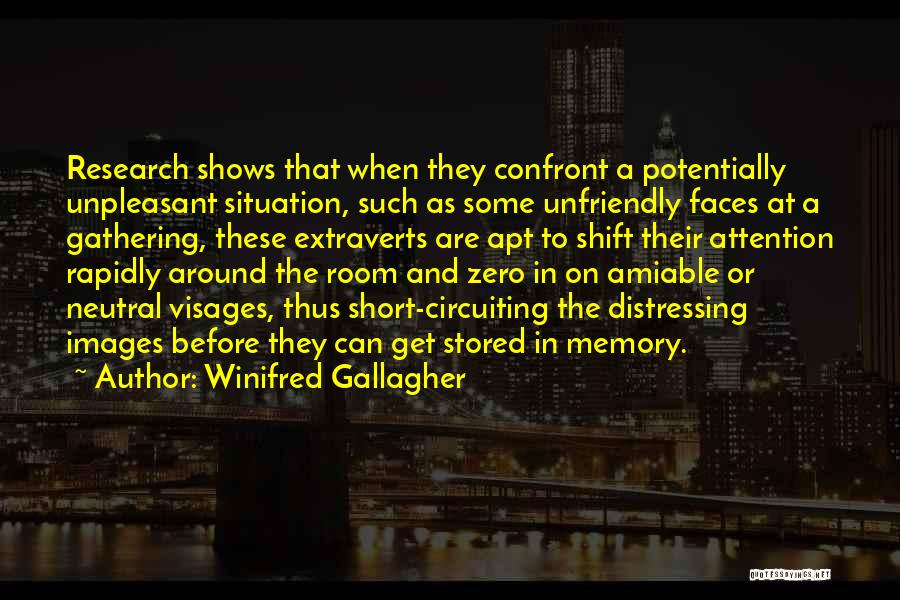 Winifred Gallagher Quotes 1027422