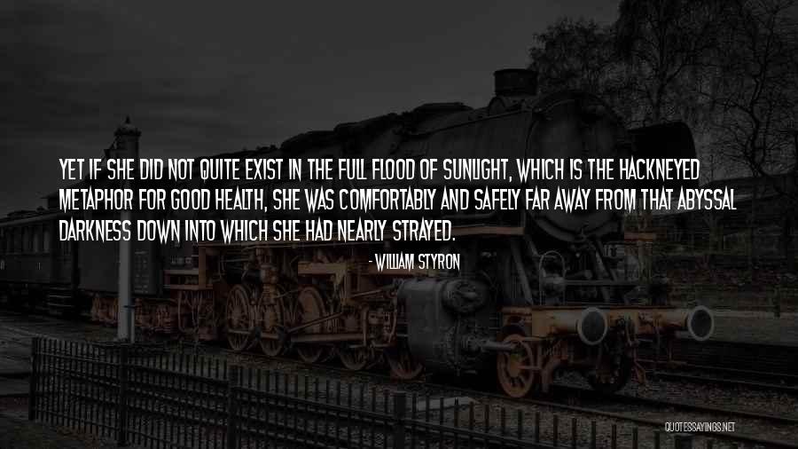 Winkeljohn Eye Quotes By William Styron Winkeljohn Eye Quotes By William Styron